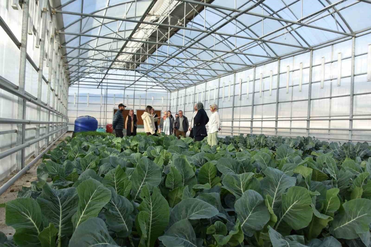 Niksar’da bilinçli üretim için çalışıyorlar
