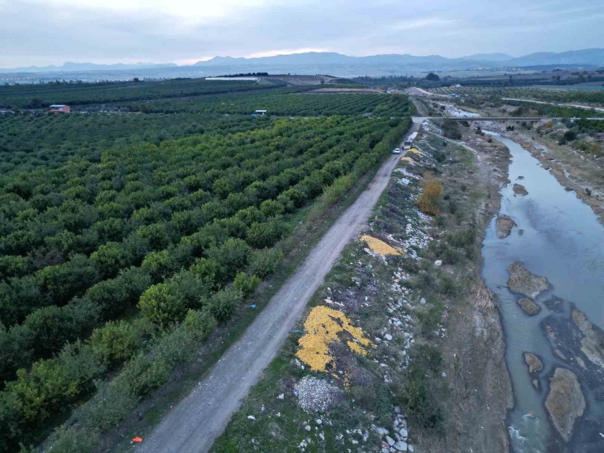 Tonlarca limon dere yatağına döküldü
