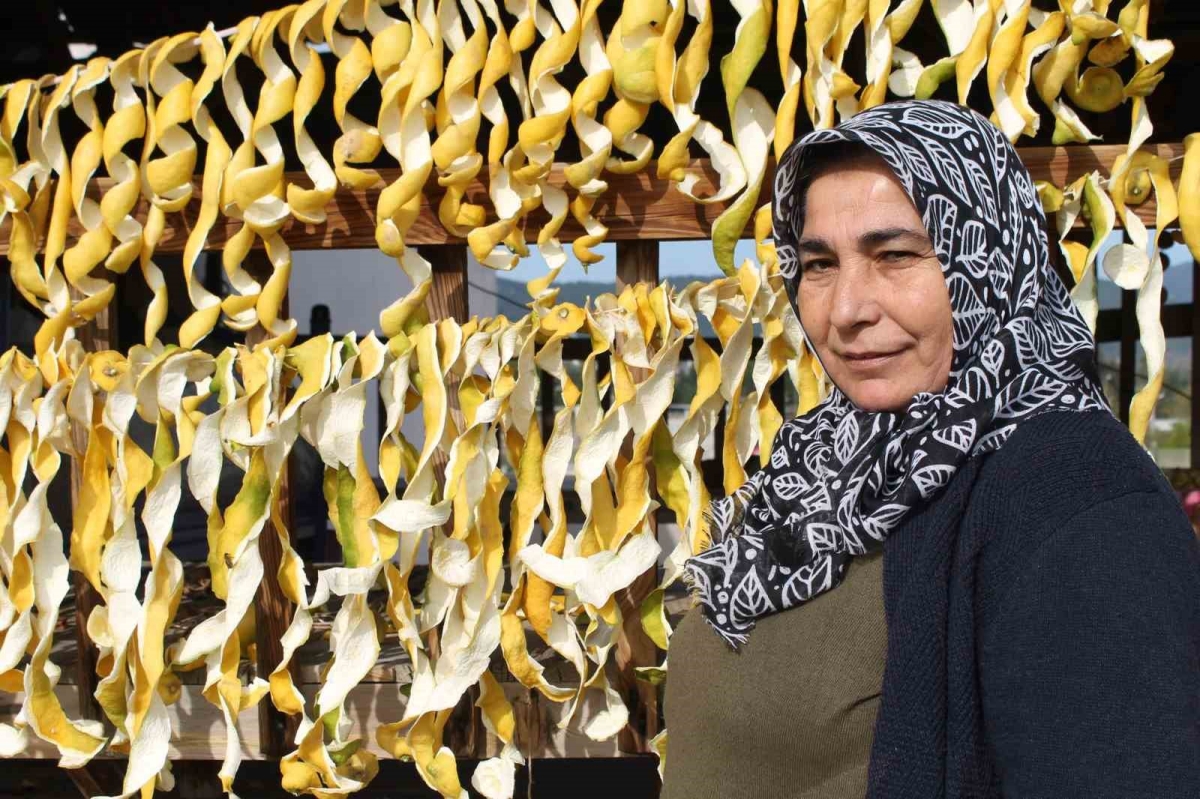 Dalından kilosu 30 kuruş, kabuğu 17 lira
