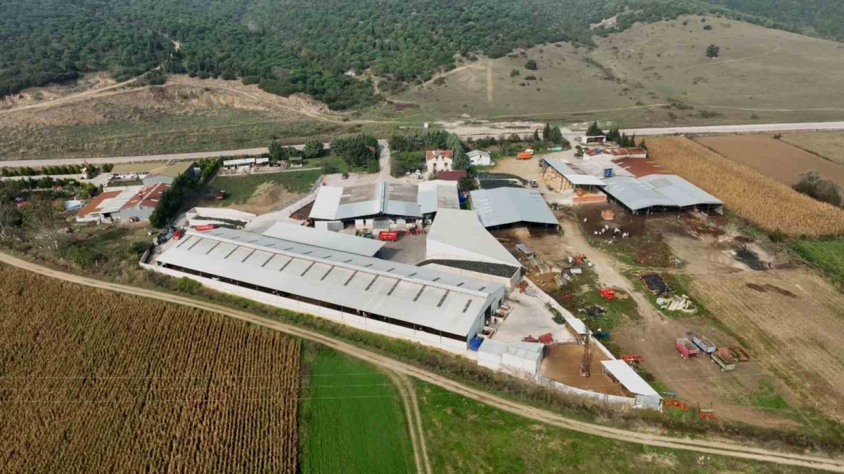 İki kardeş mühendisliği bırakıp çiftlik kurdu

