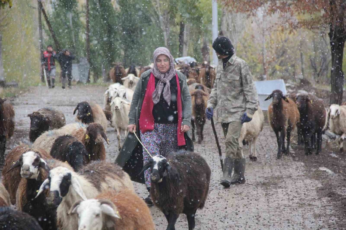 Kadın çiftçi hayvan varlığını 2 katına çıkardı
