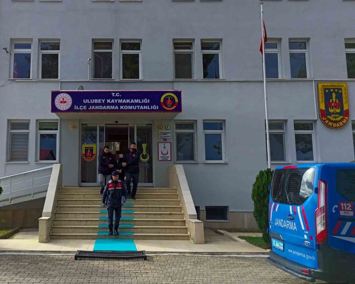 100 bin TL’lik fındık çalan şüpheli yakalandı
