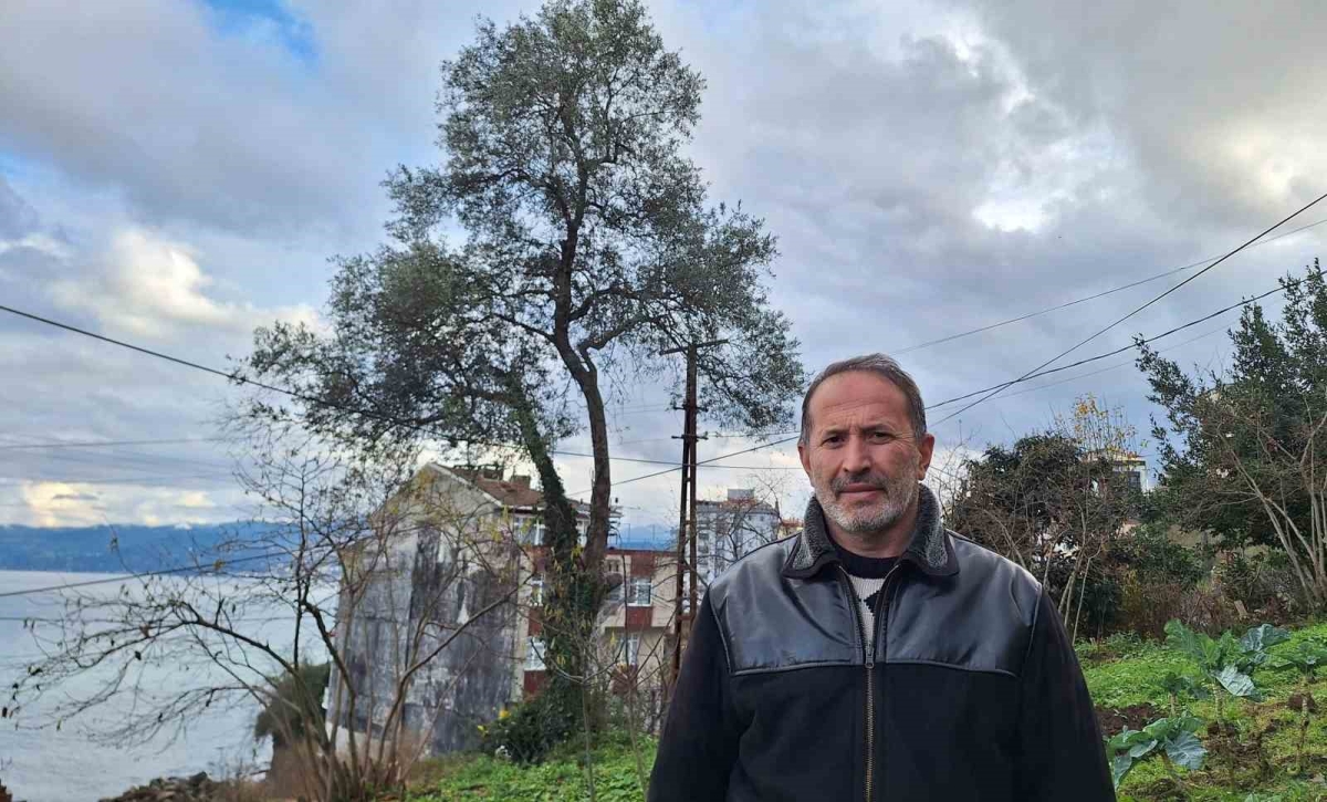Yüzlercesi vardı, tek bir tane kaldı
