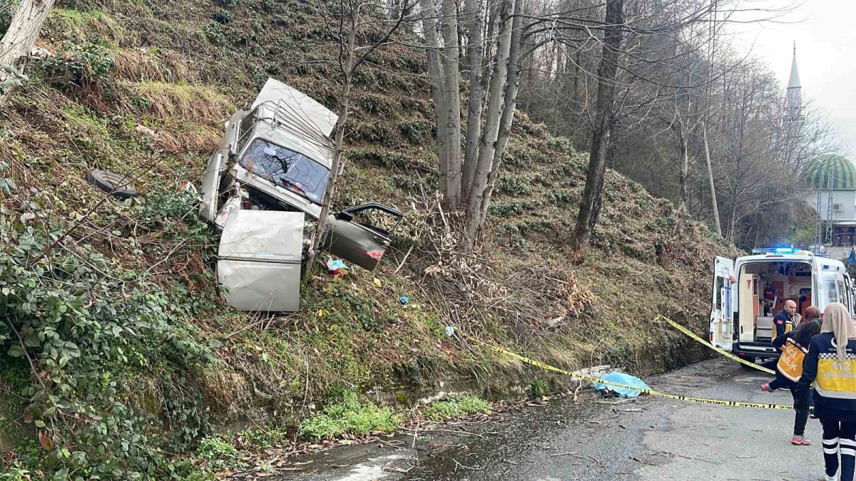 Araç yol kenarındaki ağaca çarptı, sürücü hayatını kaybetti
