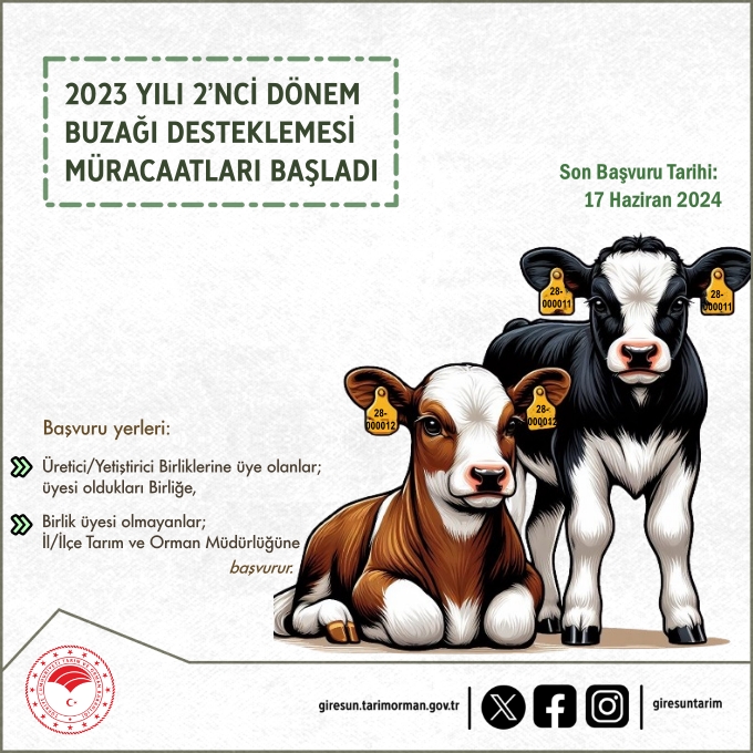 2023 Yılı 2’nci Dönem Buzağı Desteklemesi Müracaatları Başladı