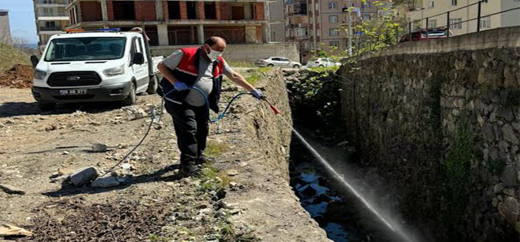 Giresun’da kapsamlı ilaçlama çalışması başlatıldı