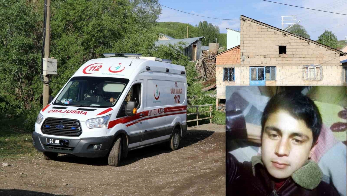 Yıldırım çarptı çoban öldü, kuzular telef oldu
