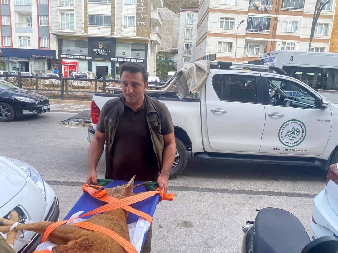Doğa koruma ekiplerinden hayat kurtaran müdahale
