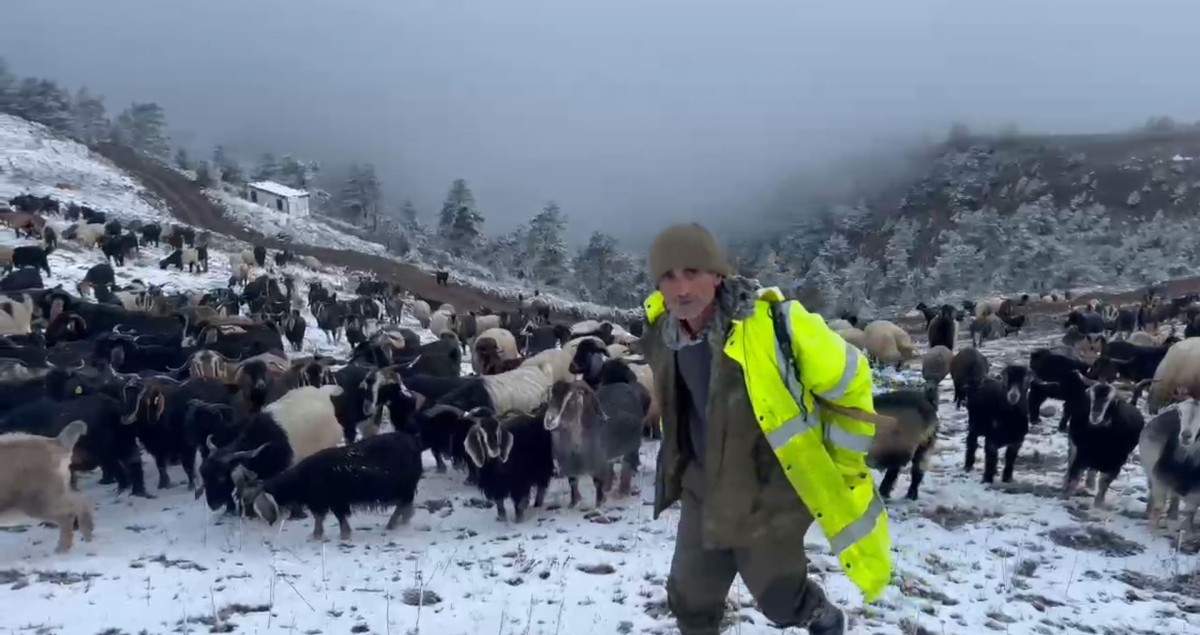 Giresun yaylalarına kar yağdı: Çobanlar zorlu dönüşe başladı