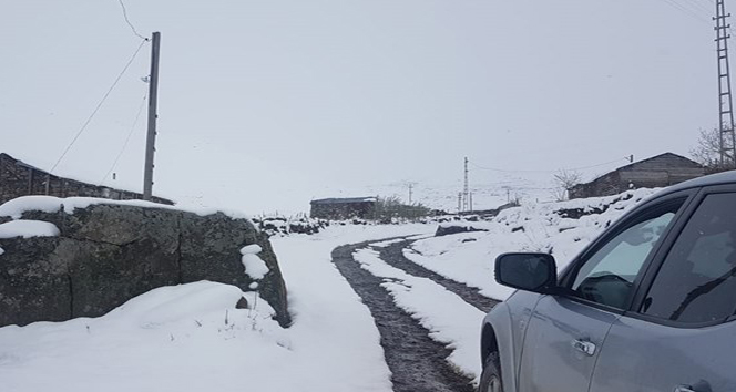 Giresun yaylalarında çobanlar ve sürüleri mahsur kaldı