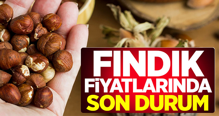 Kurlarda yaşanan düşüş fındık fiyatını etkiledi