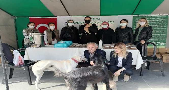 Giresun'da cadde hayvanlarını koruma aktifliği tertip edildi