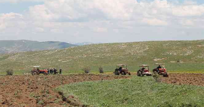 Miras yoluyla bölünen boş bırakılmış tarım arazileri üretime kazandırılmaya başlandı