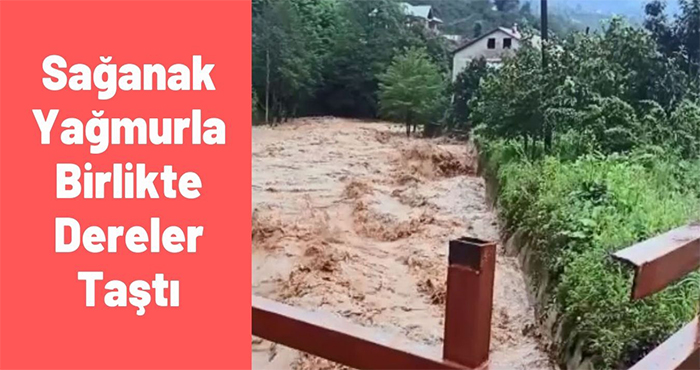 Yine Sağanak Yine Dereler Taştı  Köprüler Sele Kapıldı