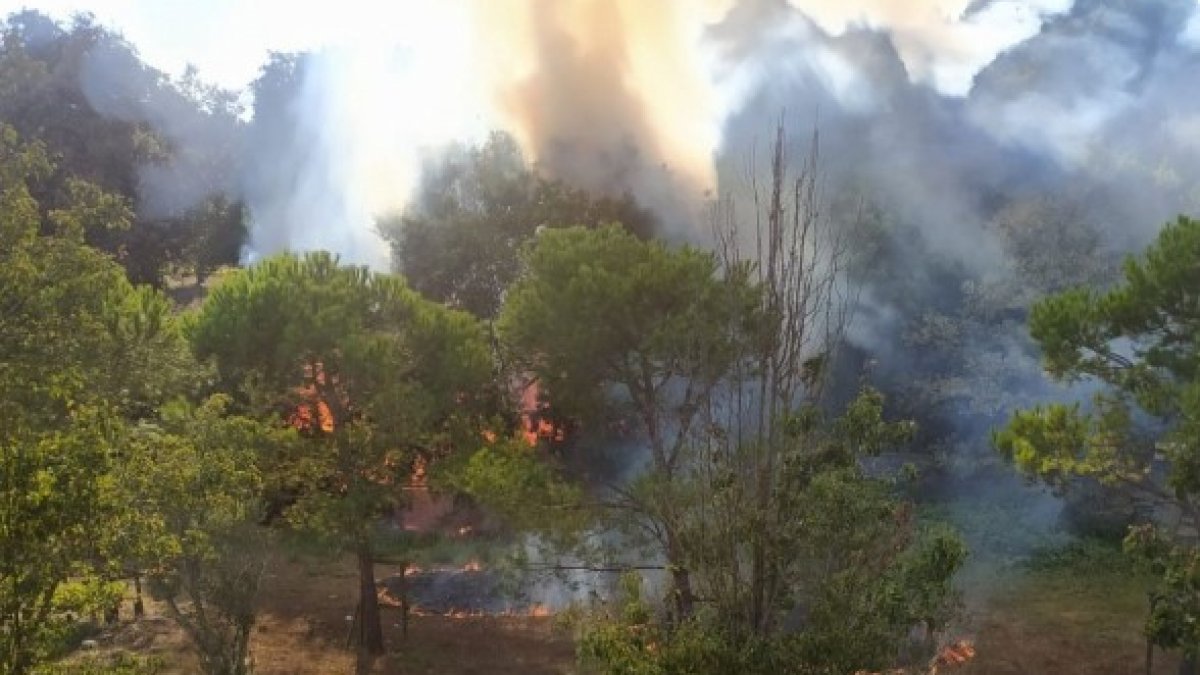 Üsküdar'da orman yangını